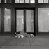 Christoph Radke, New york City, homeless person on Broadway, 2024
